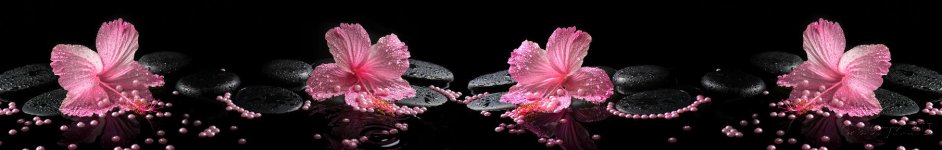 Скинали — Розовые цветы на черном фоне