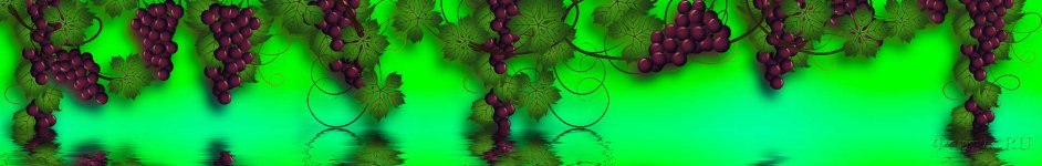 Скинали — Виноград на зеленом фоне