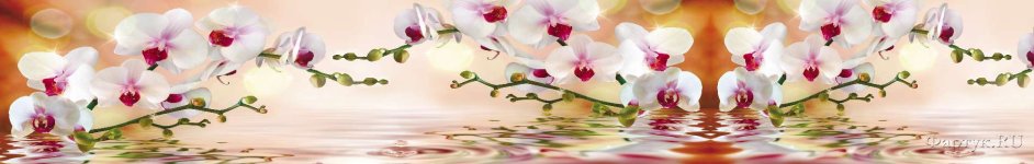 Скинали — Орхидеи над водой