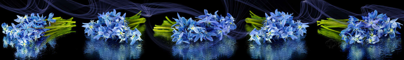 Скинали — голубые цветы на черном фоне