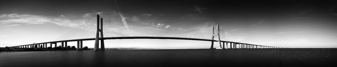 Скинали — Черно-белая панорама моста