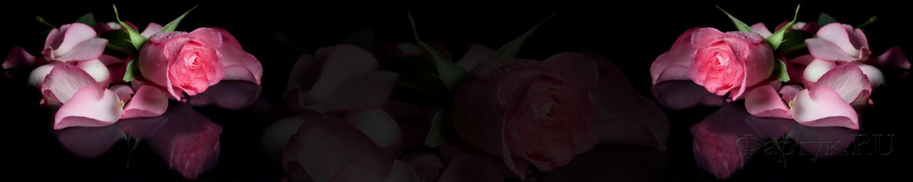 Скинали — Розы на черном фоне