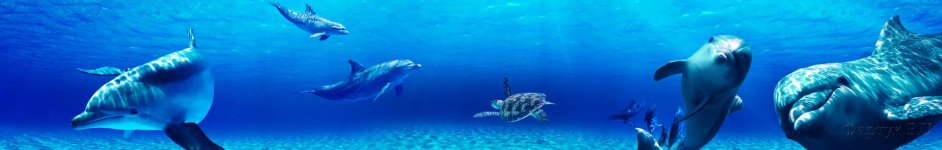 Скинали — Подводный мир