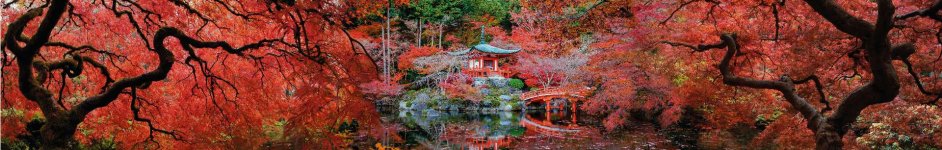 Скинали — Цветущая Япония