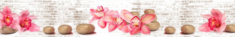 Скинали — Орхидеи на фоне кирпичной стены