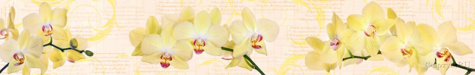Скинали — Желтая орхидея и вензеля 