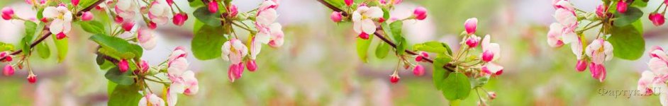 Скинали — Цветение вишни