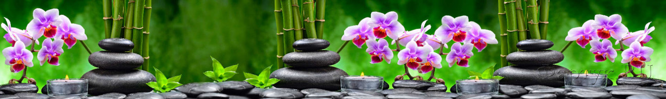 Скинали — Орхидеи на фоне камней и бамбука