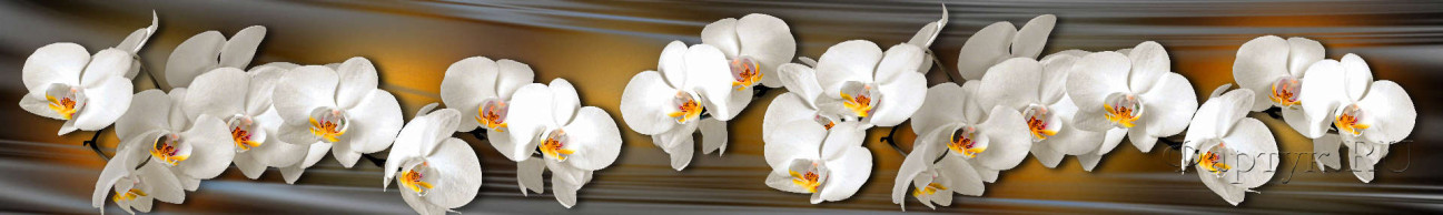 Скинали — Белоснежная орхидея на золотом фоне 