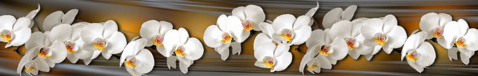 Скинали — Белоснежная орхидея на золотом фоне 