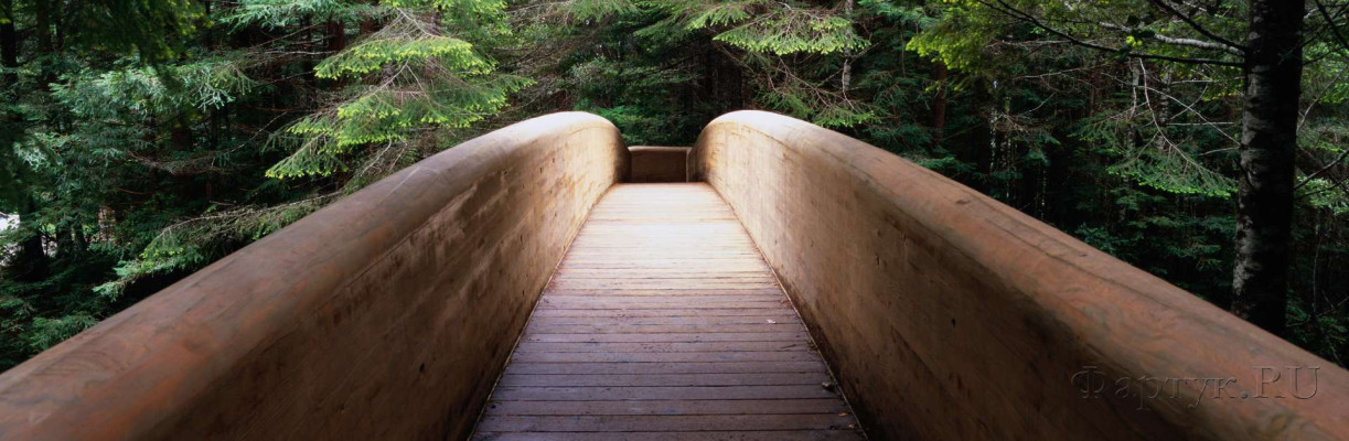 Скинали — Мост в лесу
