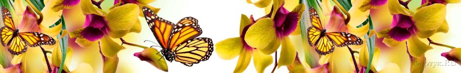 Скинали — Бабочки на цветах