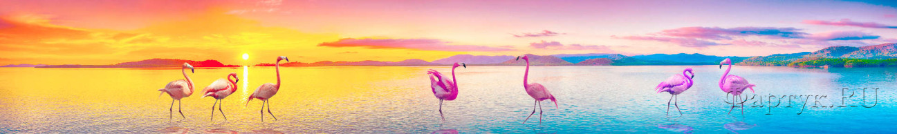 Скинали — Розовый фламинго и красивые пейзажи природы