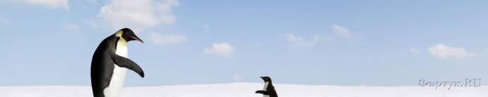 Скинали — Императорские пингвины: антарктическая редкость