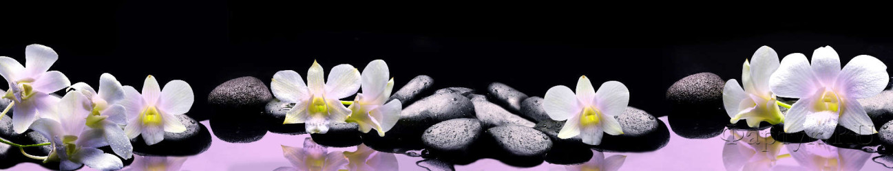 Скинали — Белые орхидеи на камнях