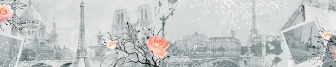 Скинали — Шикарные бутоны роз на фоне серого города 