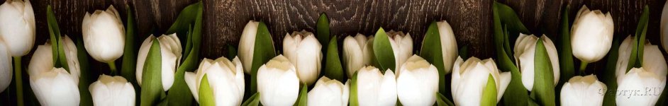 Скинали — Белые тюльпаны на досках