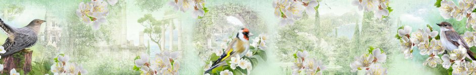 Скинали — Птички на цветах