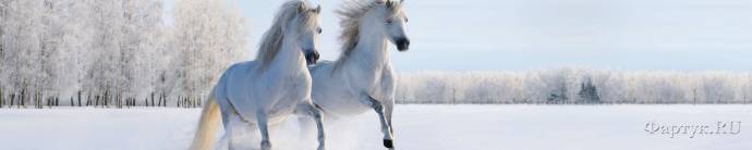 Скинали — Скачущие кони по зимнему полю