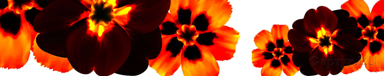 Скинали — Оранжевые цветы