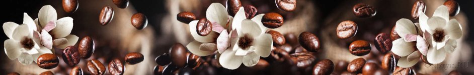 Скинали — Кофейные зерна и цветы