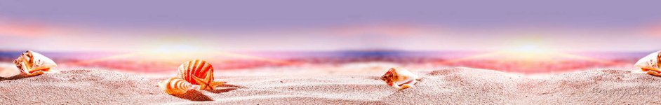 Скинали — Ракушки в песке крупным планом 
