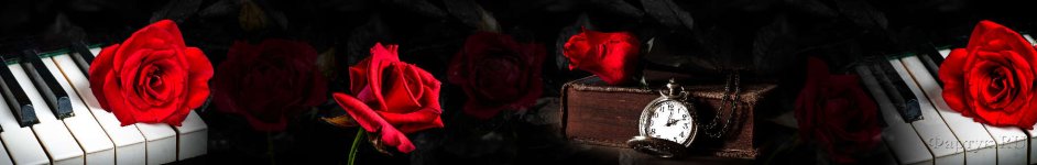 Скинали — Красная роза на белых клавишах рояля