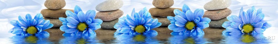 Скинали — Ярко-синие цветки с камнями с отражением 