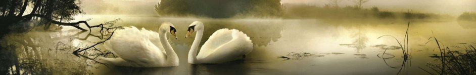 Скинали — Лебеди в тумане на озере