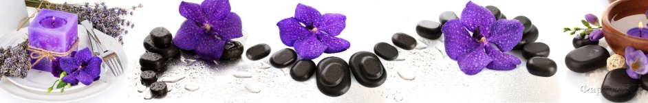 Скинали — Фиолетовые орхидеи с черными камнями