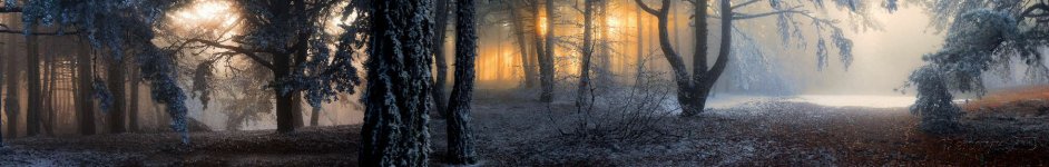 Скинали — Зимний пейзаж сквозь заснеженные ветки