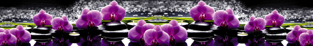 Скинали — Фиолетовые орхидеи, черные камни на воде