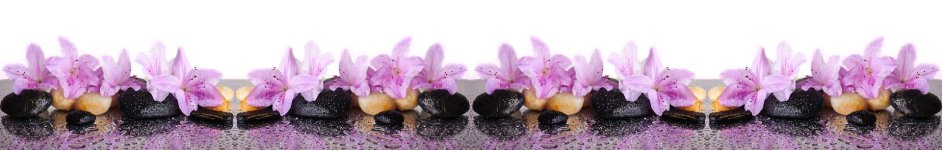 Скинали — Фиолетовые цветы на камнях с каплями воды