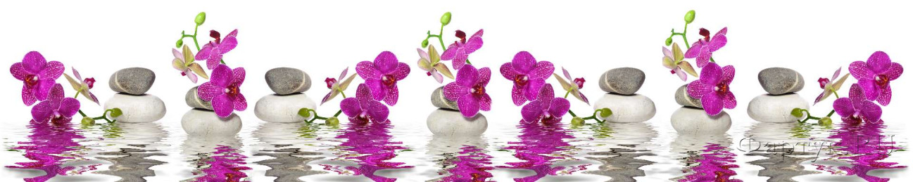 Скинали — Ветки орхидеи на воде