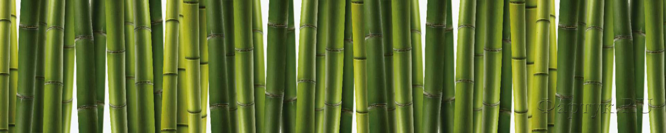 Скинали — Зеленый бамбук