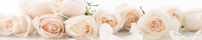 Скинали — Нежно-розовые розы на белом фоне