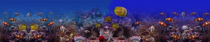 Скинали — Красивый вид подводного мира 