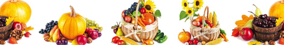 Скинали — Коллаж овощи на белом фоне