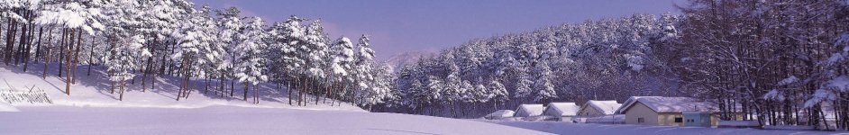 Скинали — Зимний пейзаж