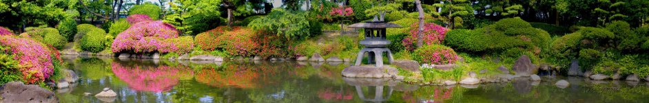 Скинали — Панорама японского сада