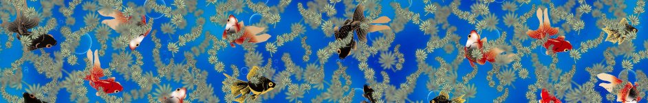 Скинали — Рыбки и водоросли
