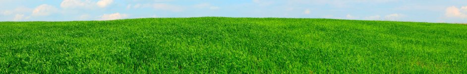 Скинали — Пейзаж зеленая поляна