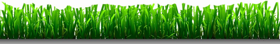 Скинали — Подстриженная зеленая трава на белом фоне