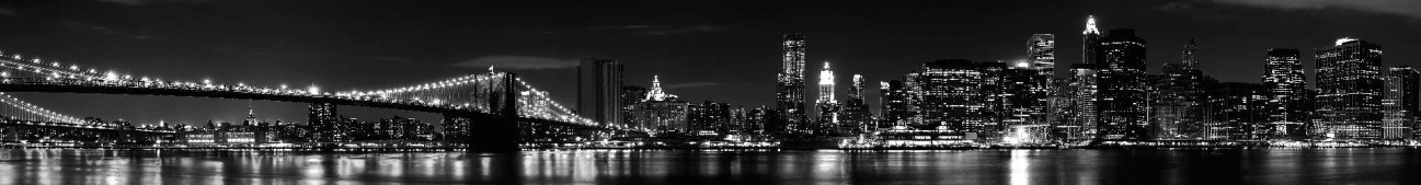 Скинали — Черно - белая панорама Бруклинского моста ночью 