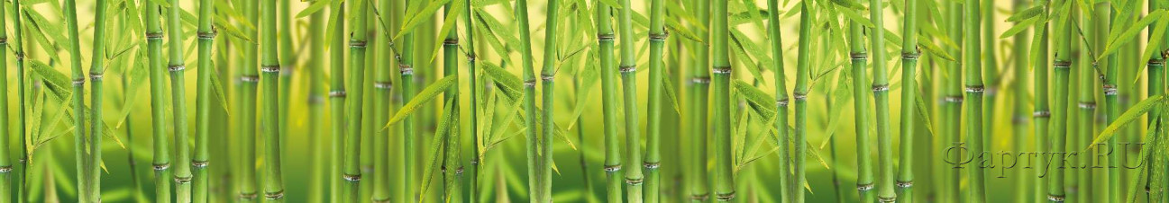 Скинали — Бамбуковый фон 