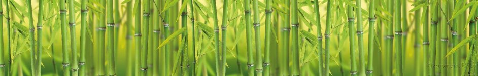 Скинали — Бамбуковый фон 