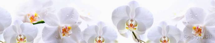 Скинали — Цветы на белом фоне