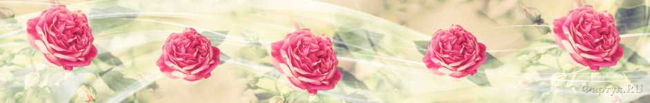 Скинали — Розовые розы и полупрозрачные линии 