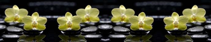 Скинали — Желтые орхидеи на черных камнях