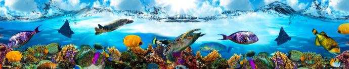 Скинали — рыбки-подводный мир